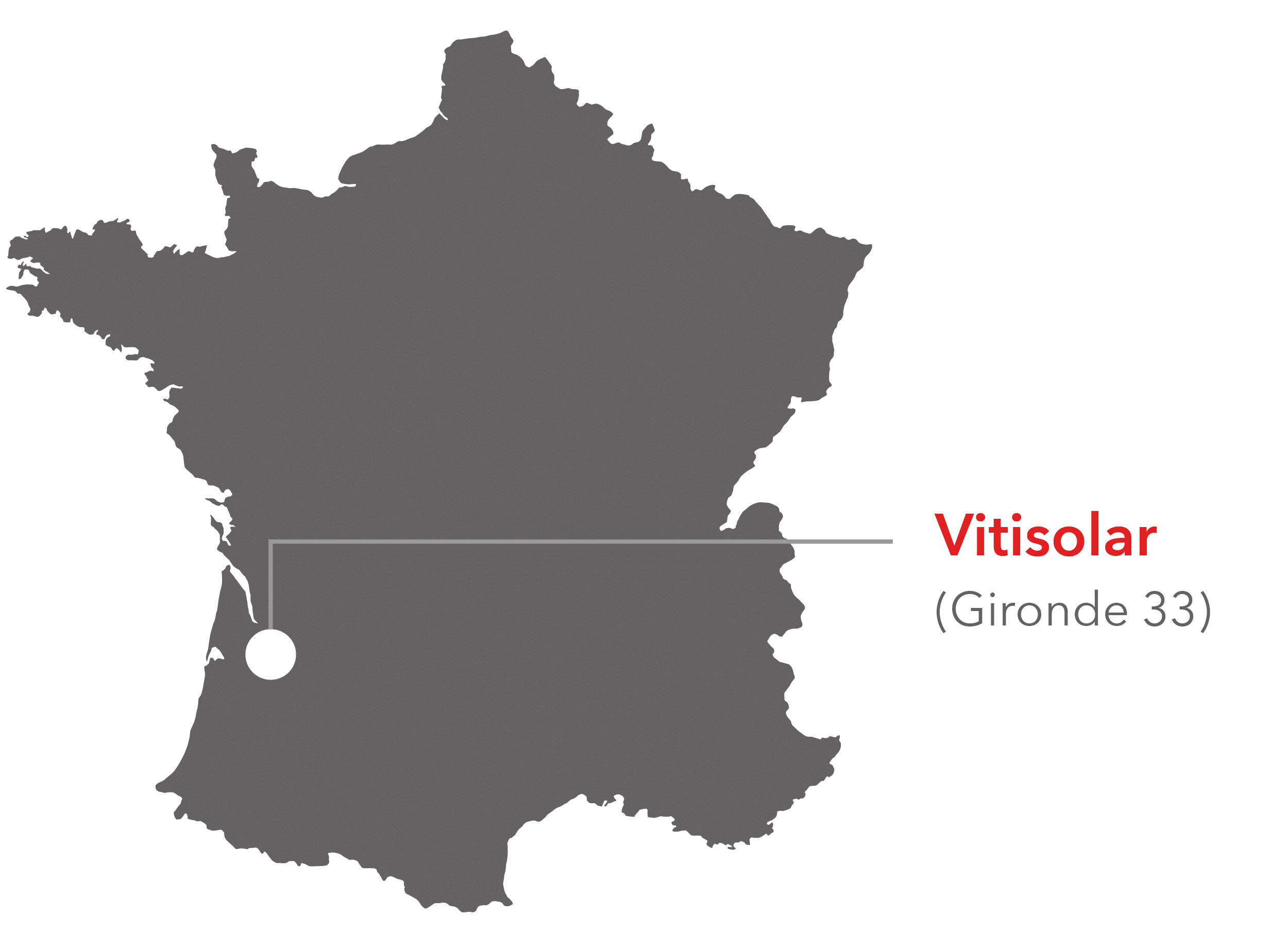 Vitisolar